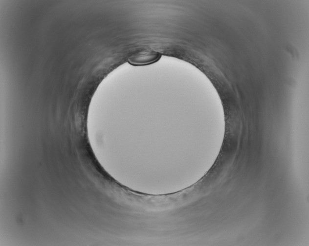 X0000111630031200908281144