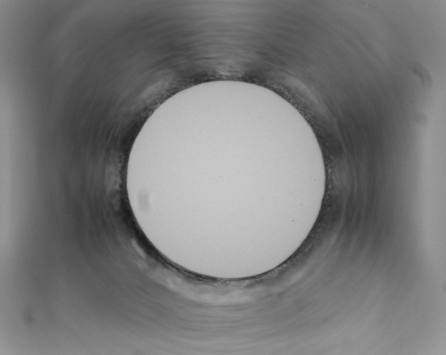 X0000111630032200908281144