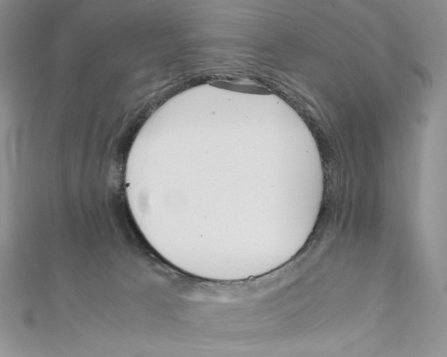 X0000111630033200908281144