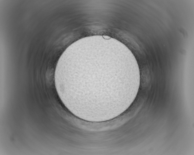 X0000111630034200908281144