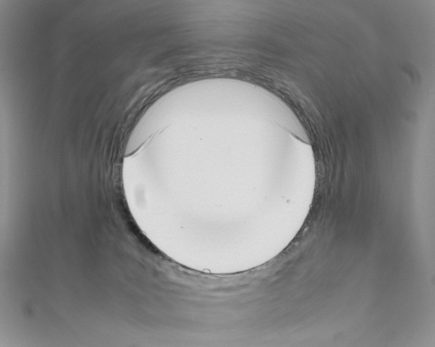 X0000111630035200908281144
