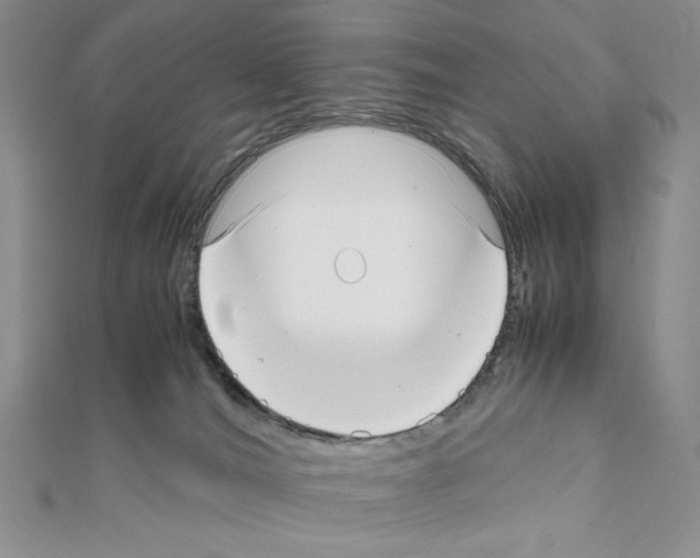 X0000111630036200908281144
