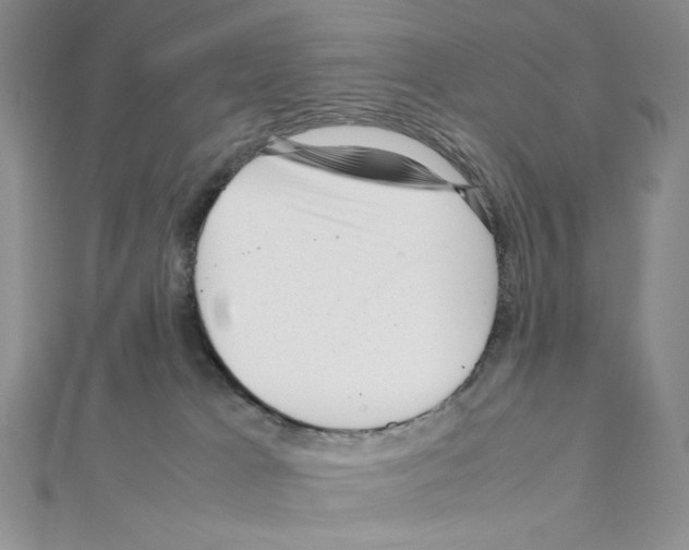 X0000111630037200908281144