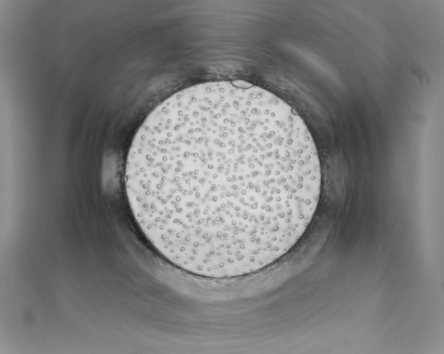 X0000111630038200908281144