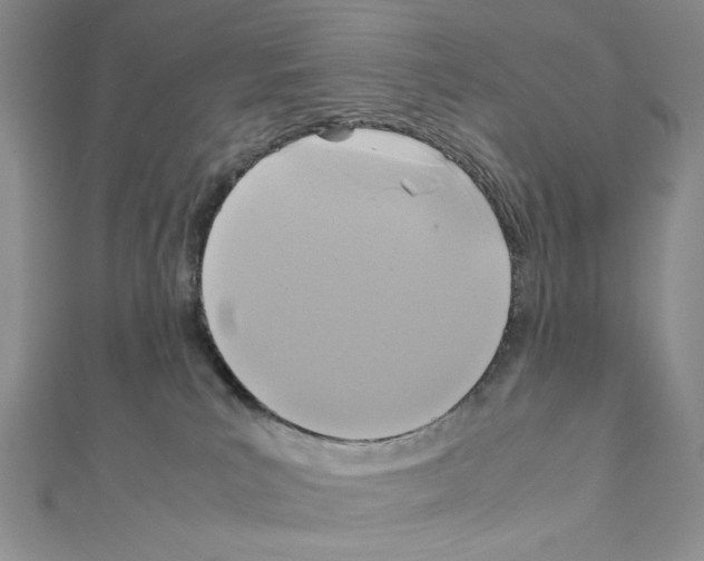 X0000111630039200908281144