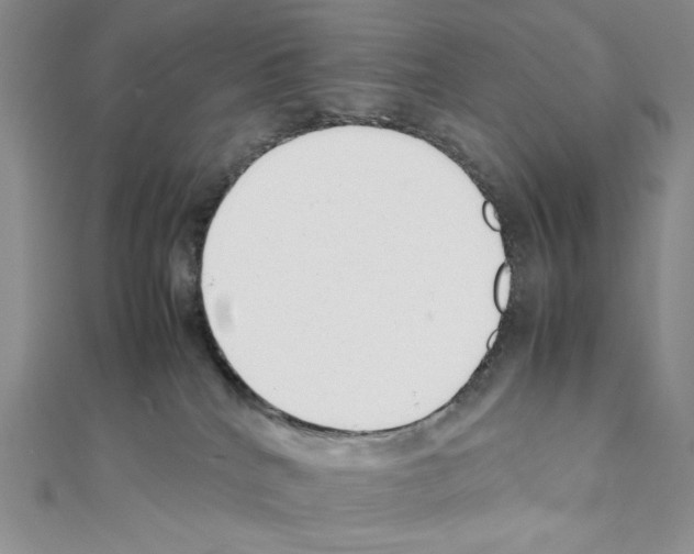 X0000111630040200908281144