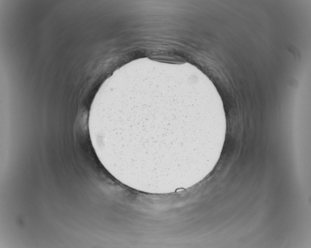 X0000111630041200908281144