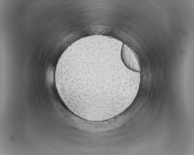 X0000111630042200908281144