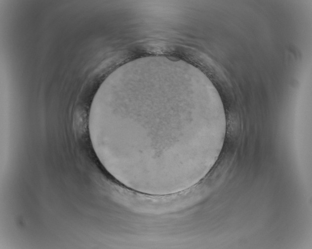 X0000111630043200908281144