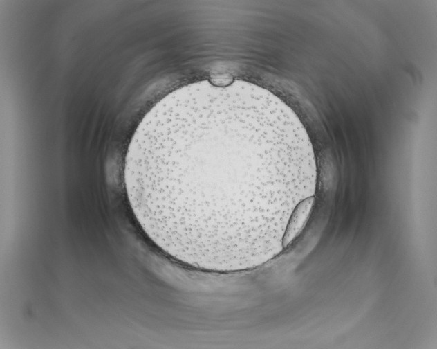 X0000111630044200908281144