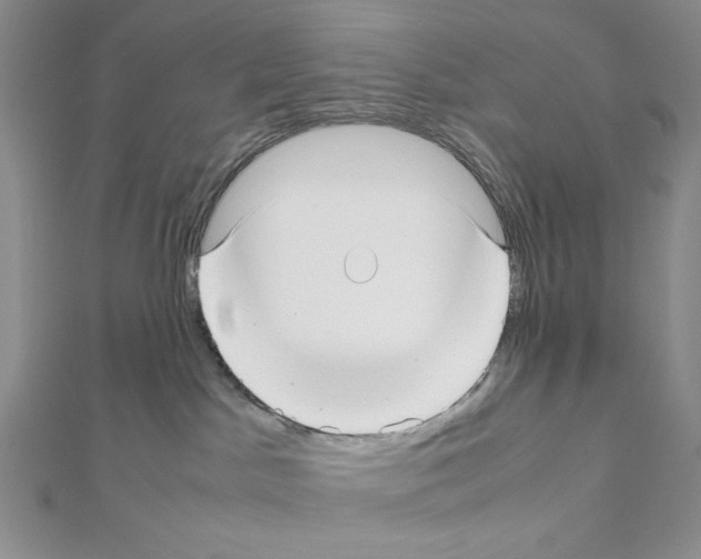 X0000111630045200908281144