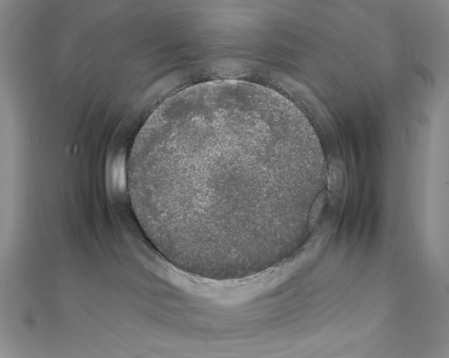 X0000111630046200908281144