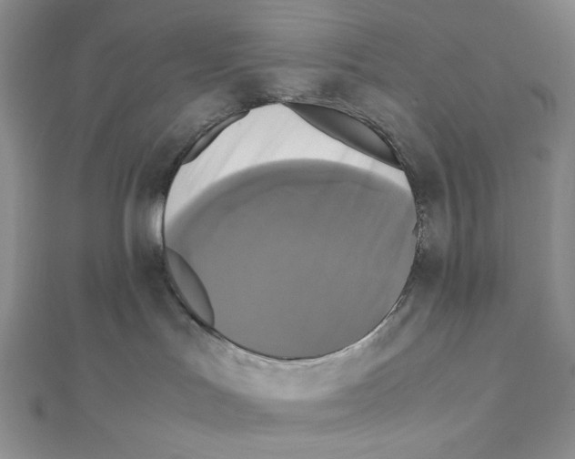 X0000111630047200908281144