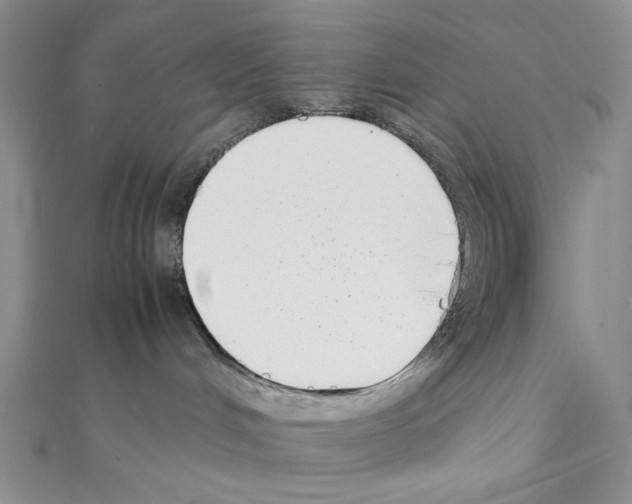 X0000111630048200908281144