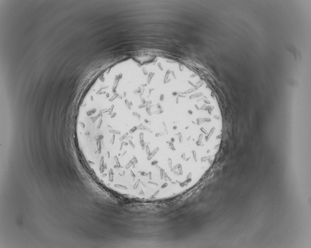 X0000111630049200908281143