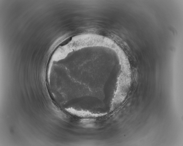 X0000111630051200908281143