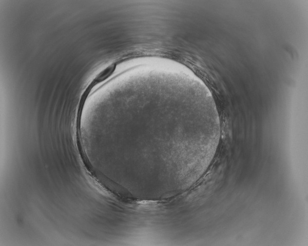 X0000111630052200908281143
