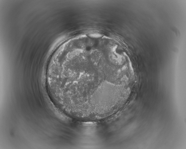 X0000111630053200908281143
