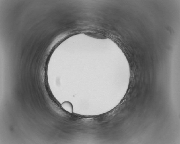 X0000111630054200908281143