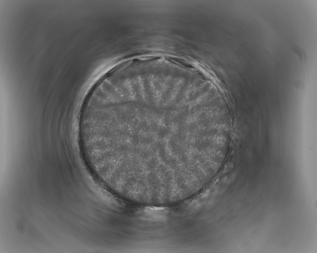 X0000111630055200908281144