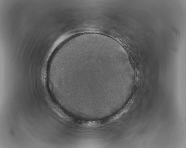X0000111630056200908281144