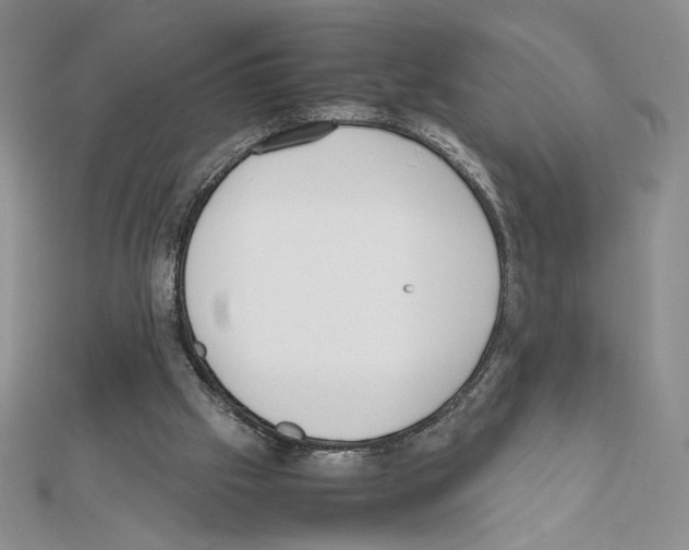 X0000111630057200908281144