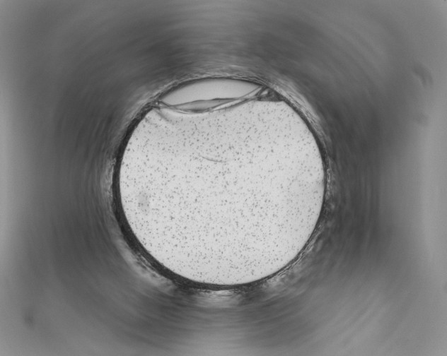 X0000111630058200908281144
