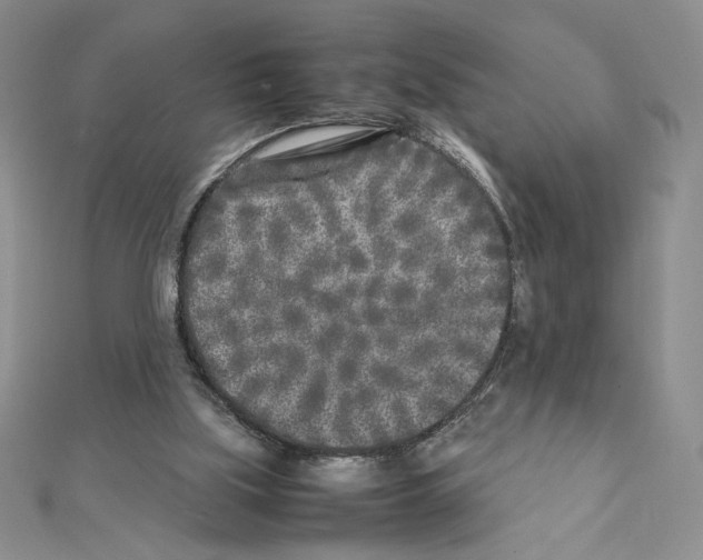X0000111630059200908281144