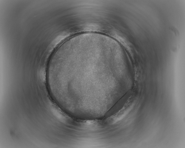 X0000111630060200908281144