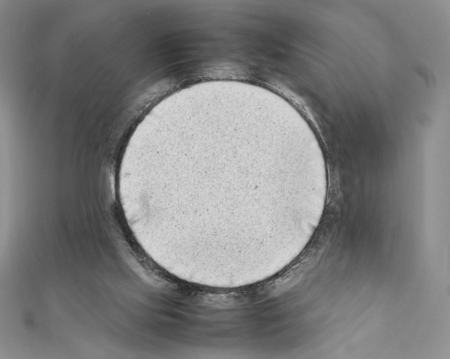 X0000111630061200908281144