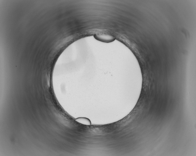 X0000111630062200908281144
