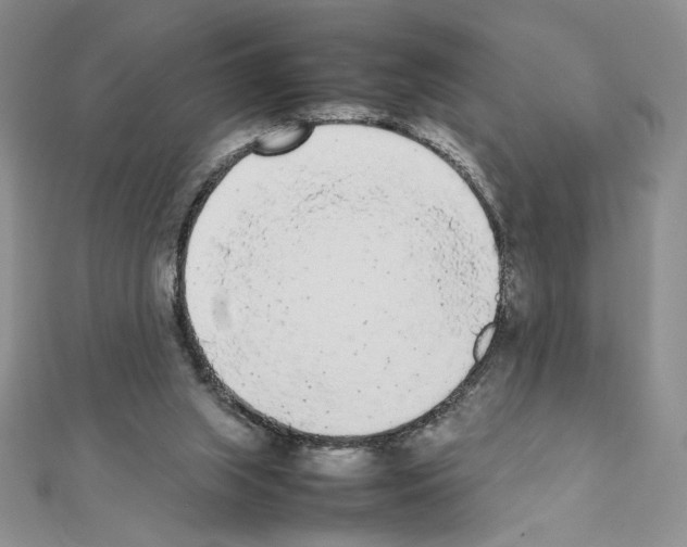 X0000111630063200908281144