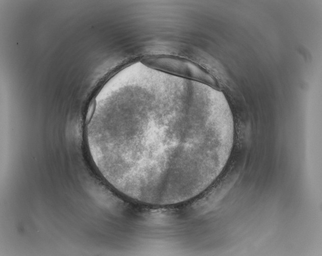 X0000111630064200908281144