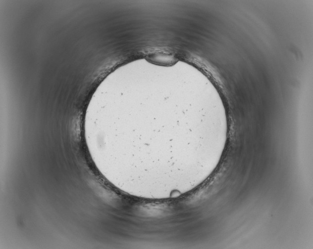 X0000111630065200908281144