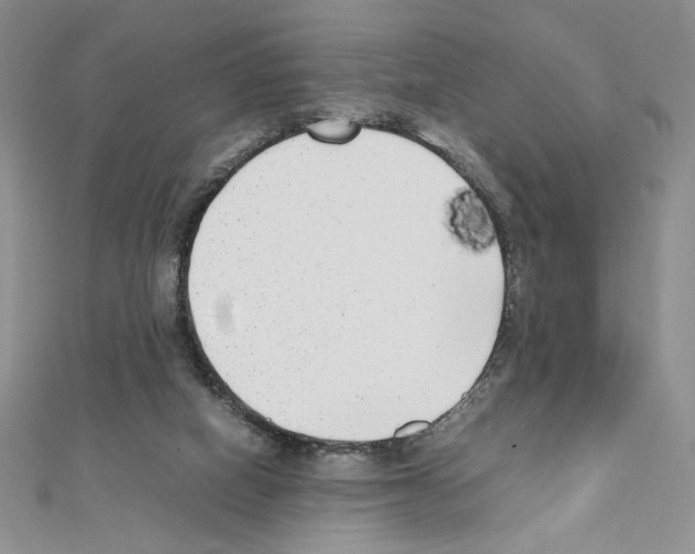 X0000111630066200908281144