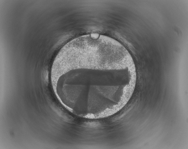 X0000111630067200908281144