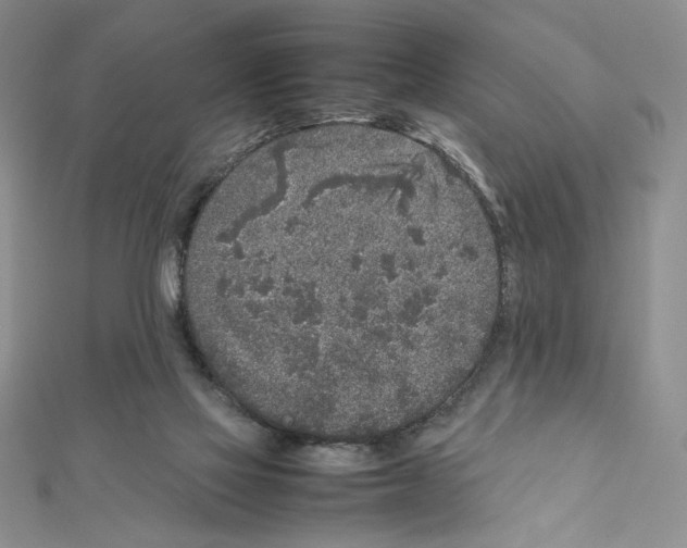 X0000111630069200908281144