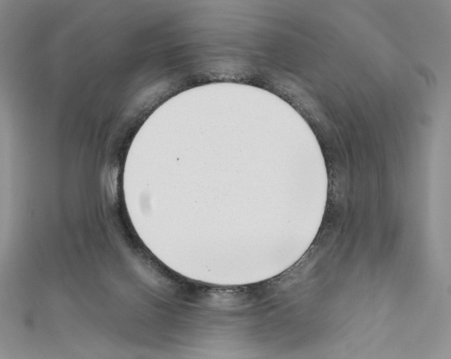 X0000111630070200908281144