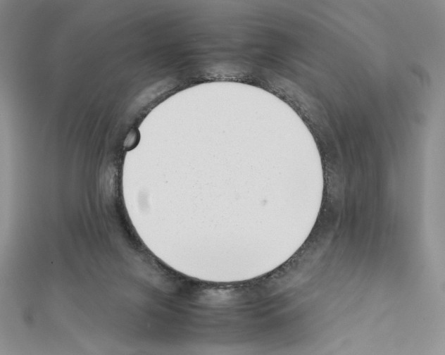 X0000111630071200908281144