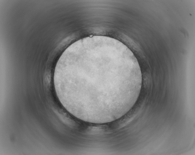 X0000111630072200908281144
