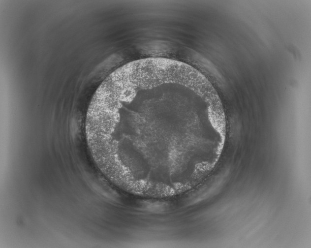 X0000111630073200908281144