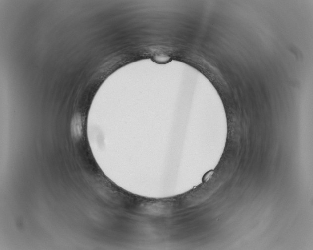 X0000111630075200908281144