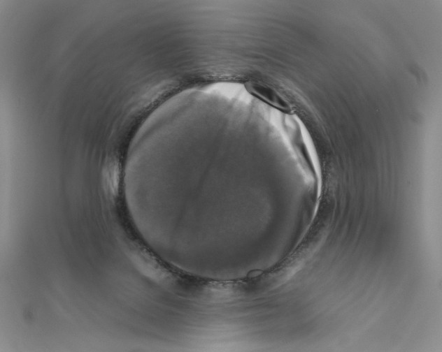 X0000111630076200908281144