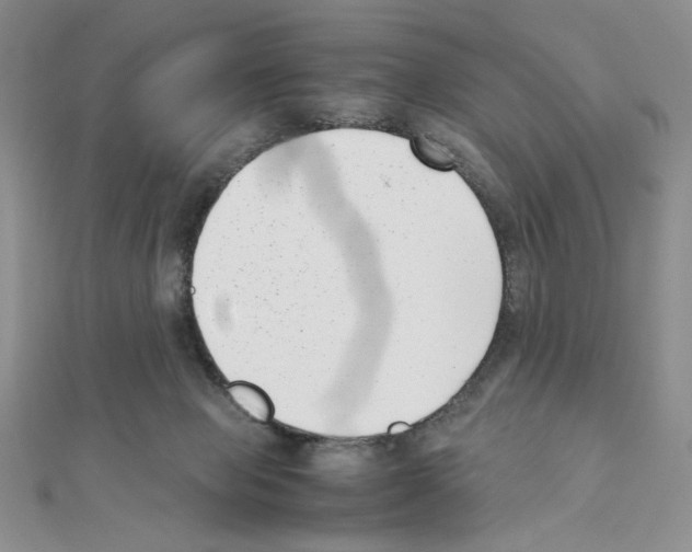 X0000111630077200908281144
