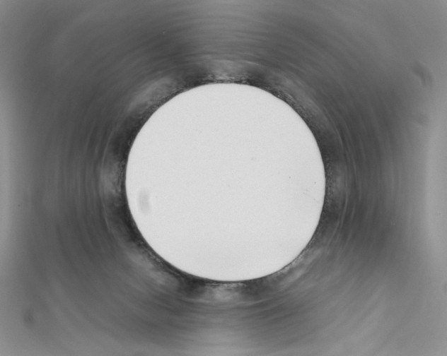 X0000111630078200908281144
