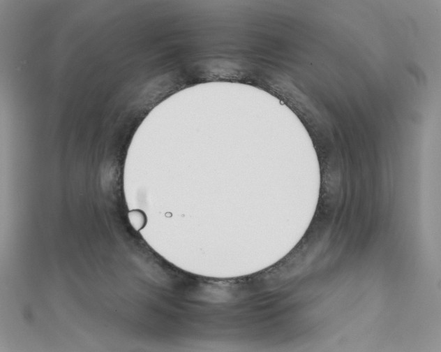 X0000111630079200908281144