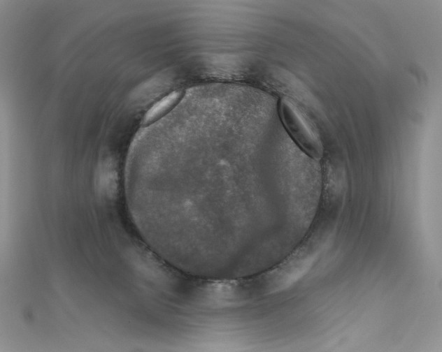 X0000111630080200908281144