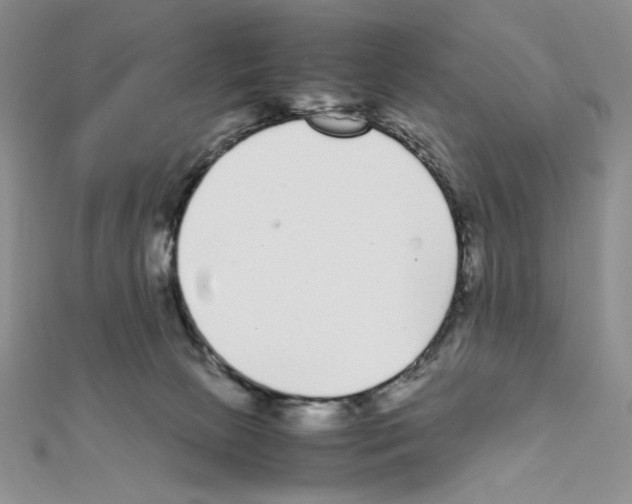 X0000111630081200908281144