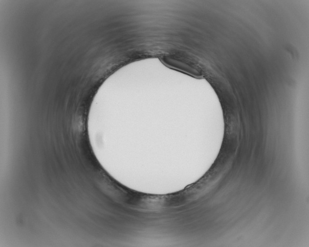 X0000111630084200908281144