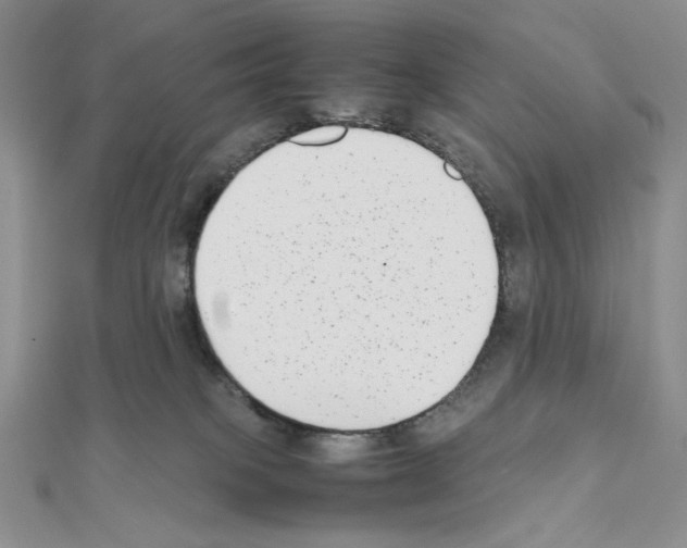 X0000111630085200908281144